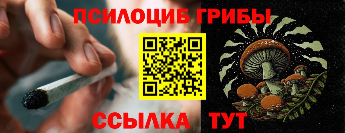 Галлюциногенные грибы мицелий Прохладный